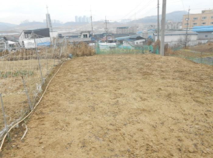 대전지법 2025타경504057-1 사진