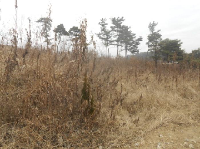 대전지법 2025타경504067-1 사진
