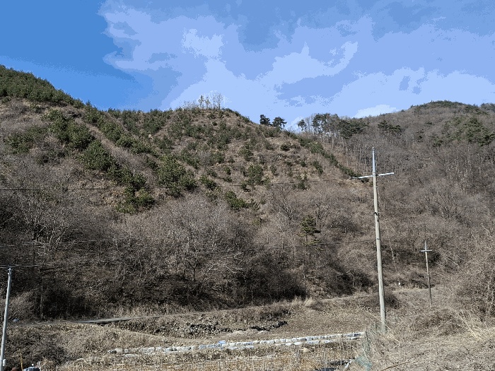 대전지법 2026타경120-1 사진