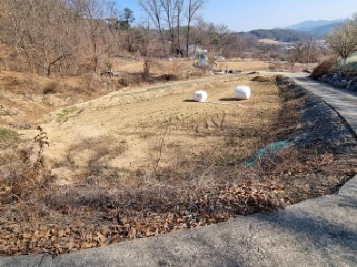 대전지법 2026타경127-2 사진