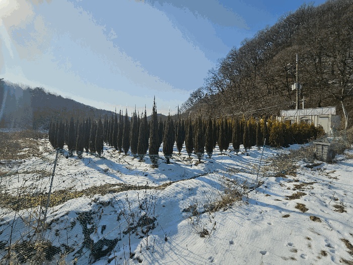 대전지법 2026타경600012-3 사진