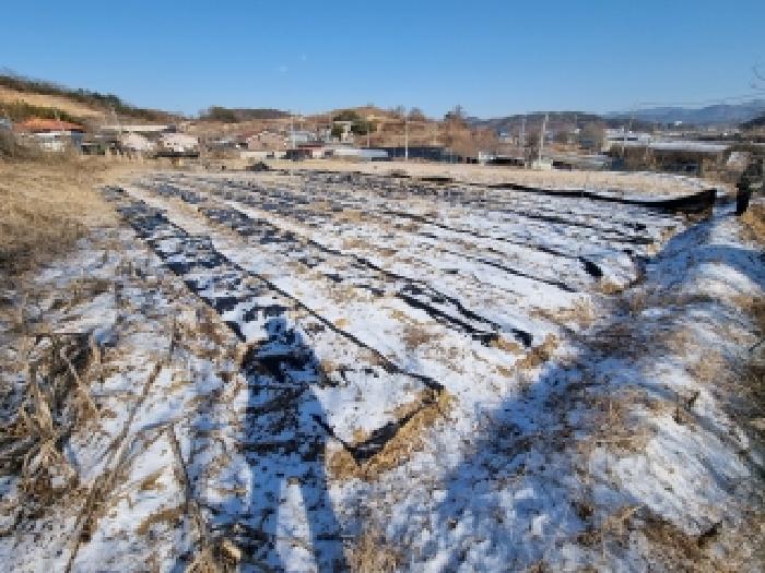 대전지법 2026타경600042-3 사진