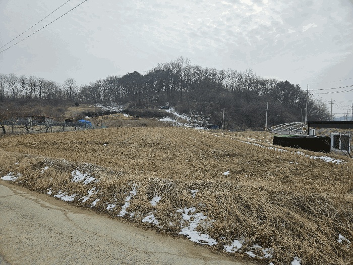 대전지법 2026타경600144-1 사진