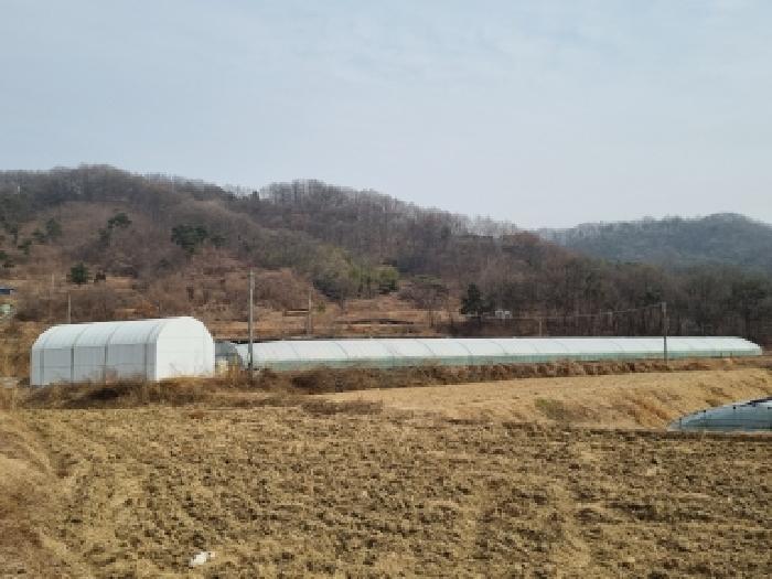 대전지법 2026타경600184-1 사진