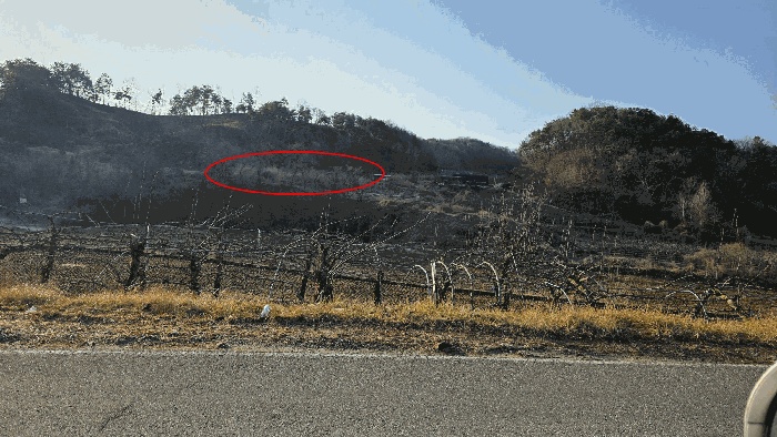 대전지법 2026타경600353-1 사진