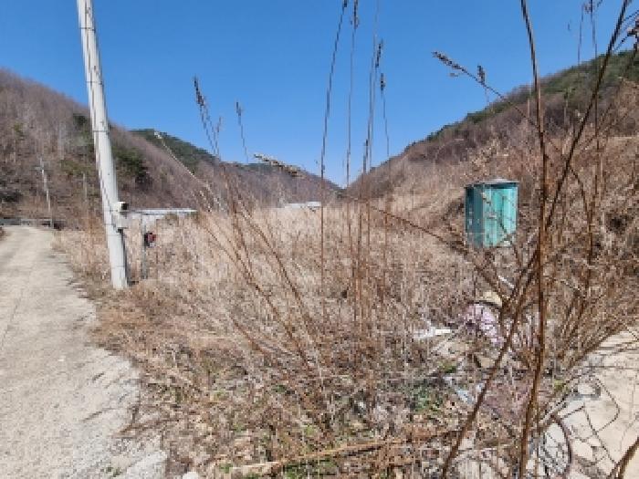 대전지법 2026타경600484-1 사진