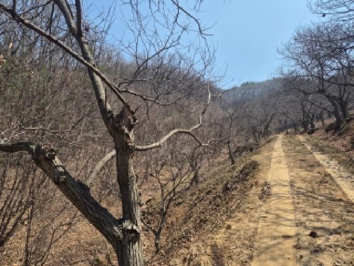 대전지법 2026타경600525-1 사진