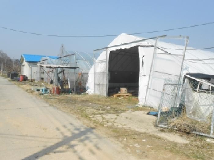 대전지법 2026타경600561-1 사진