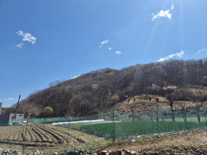 대전지법 2026타경600646-1 사진