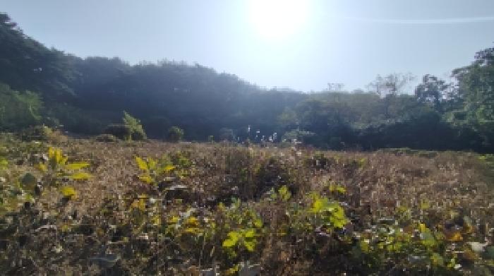 홍성지원 2025타경16073-1 사진