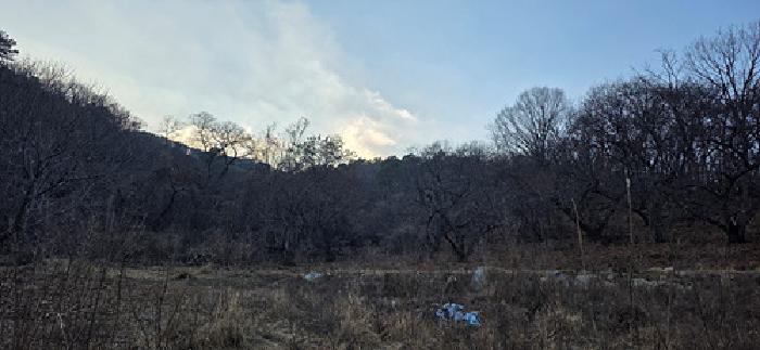 홍성지원 2025타경16148-1 사진