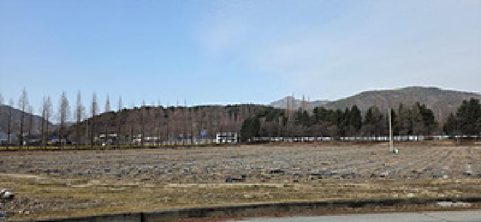 홍성지원 2026타경17-1 사진