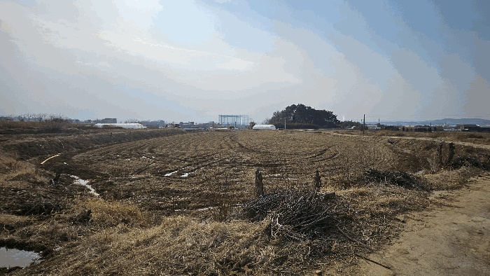홍성지원 2026타경61-1 사진