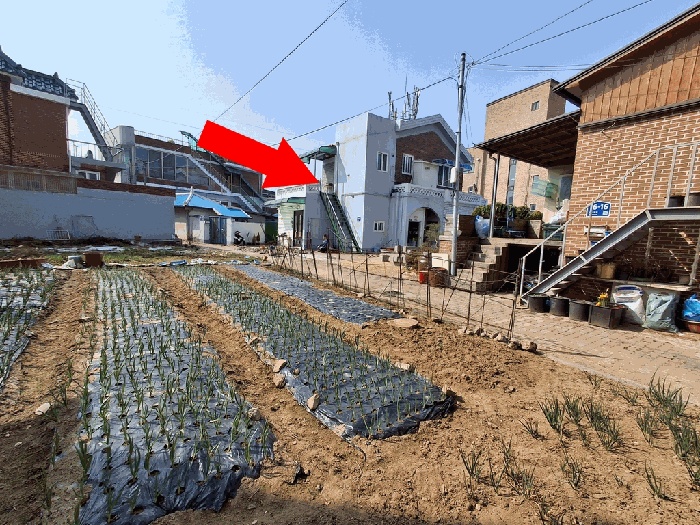 홍성지원 2026타경72-1 사진
