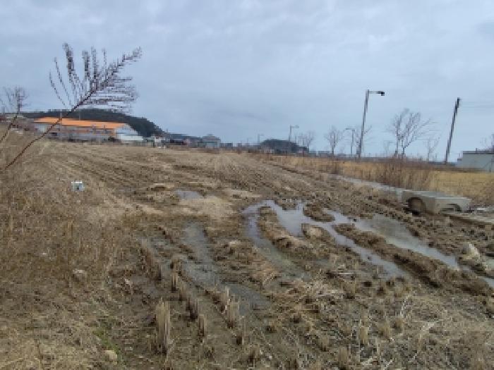 홍성지원 2026타경15121-1 사진