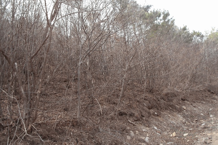 논산지원 2025타경396-2 사진