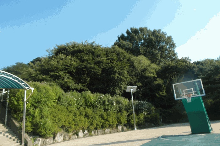 논산지원 2025타경468-1 사진
