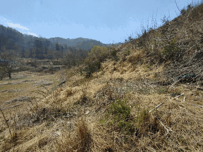 논산지원 2025타경20290-1 사진