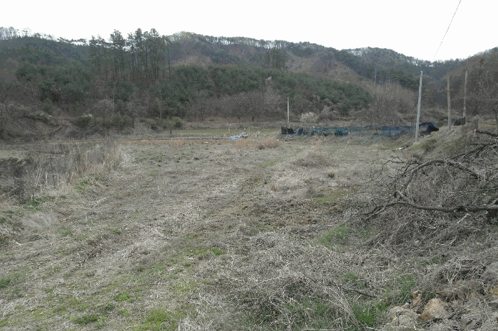 논산지원 2025타경20305-1 사진