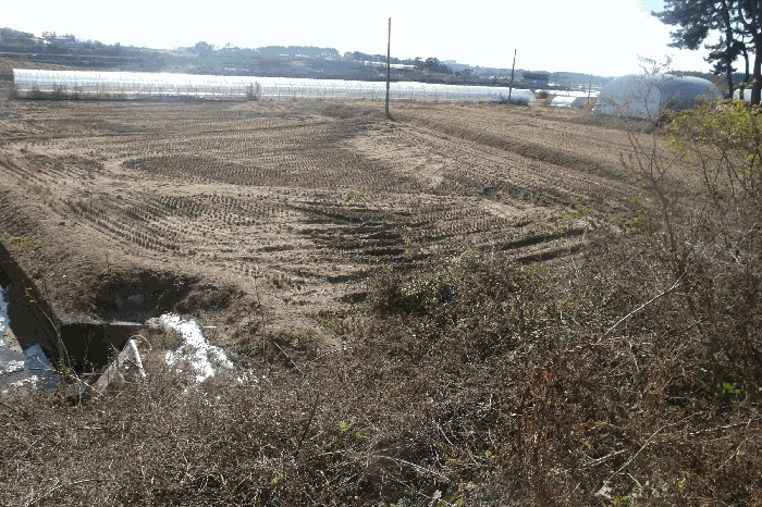 논산지원 2025타경20547-1 사진