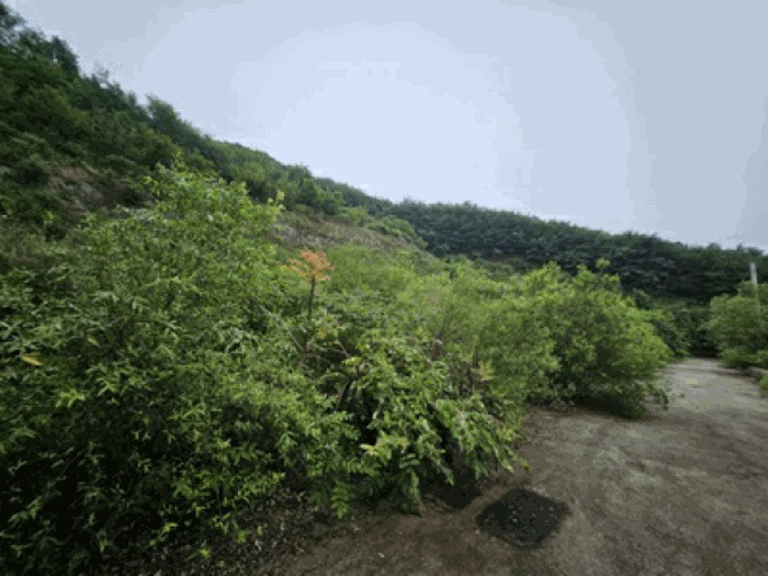 천안지원 2025타경640-1 사진