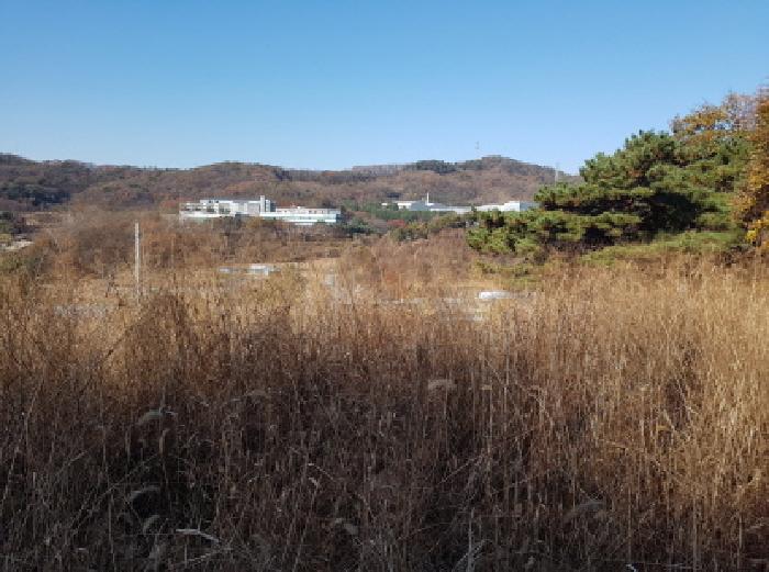 천안지원 2025타경772-1 사진