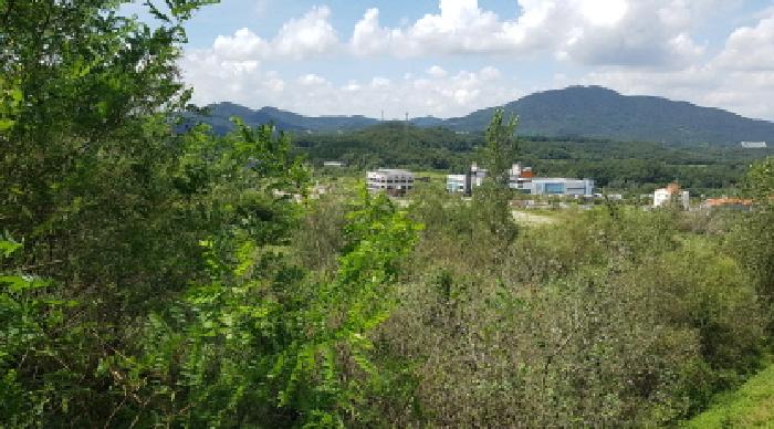천안지원 2025타경12290-1 사진
