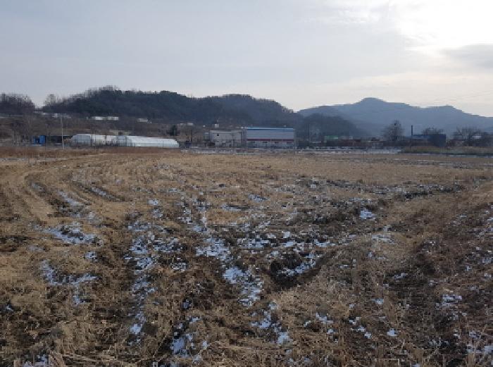 천안지원 2026타경10006-1 사진