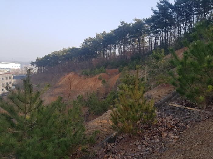 천안지원 2026타경10030-1 사진