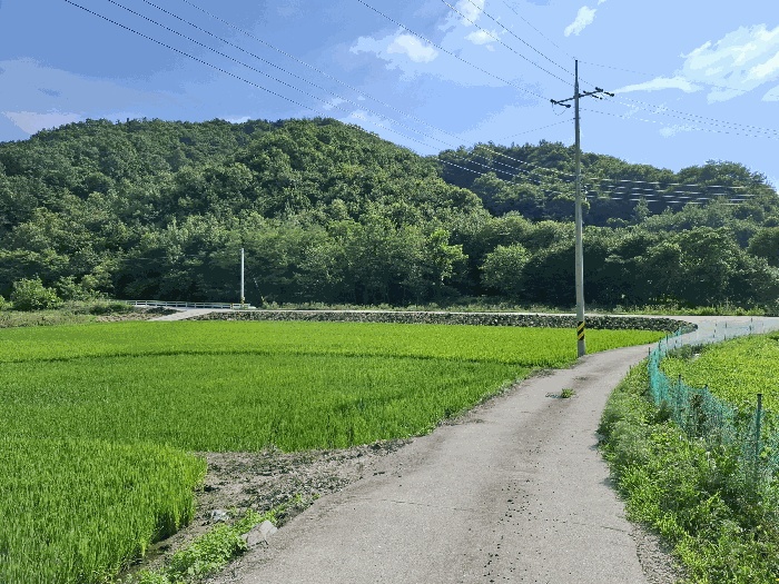 공주지원 2025타경87-1 사진