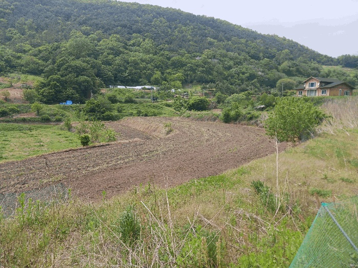 공주지원 2025타경20282-2 사진
