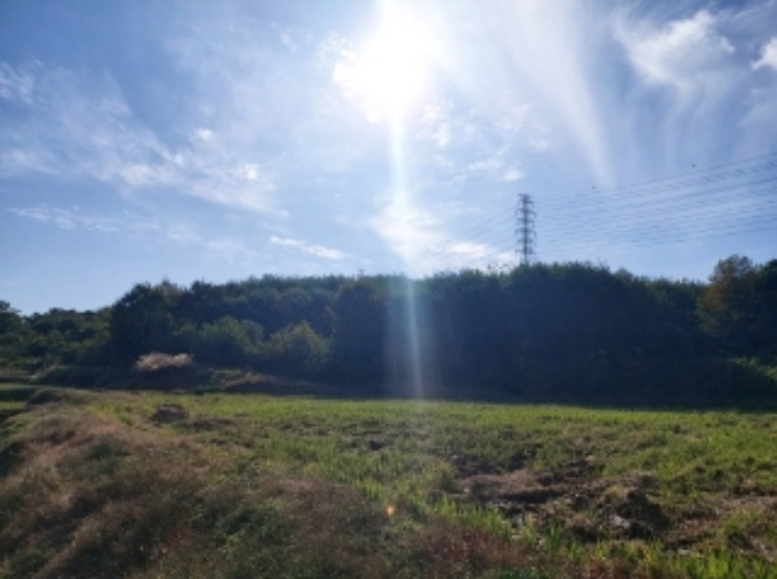 서산지원 2024타경4525-1 사진
