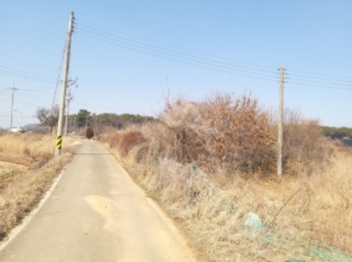 서산지원 2024타경50856-1 사진