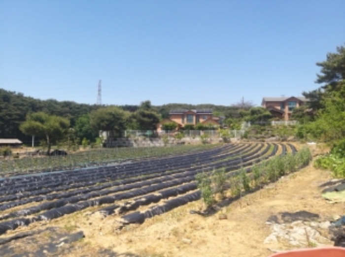 서산지원 2024타경53855-1 사진