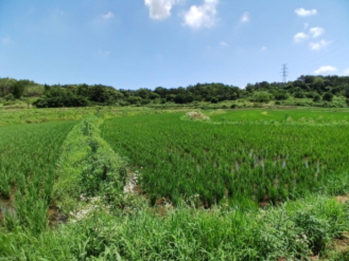 서산지원 2024타경56199-1 사진