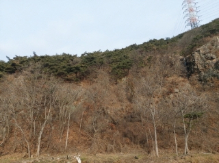 서산지원 2024타경61573-1 사진