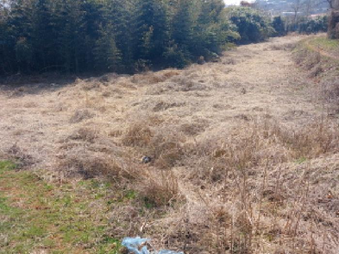 서산지원 2025타경552-1 사진