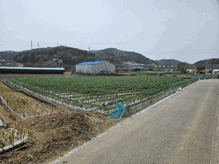 서산지원 2025타경605-1 사진