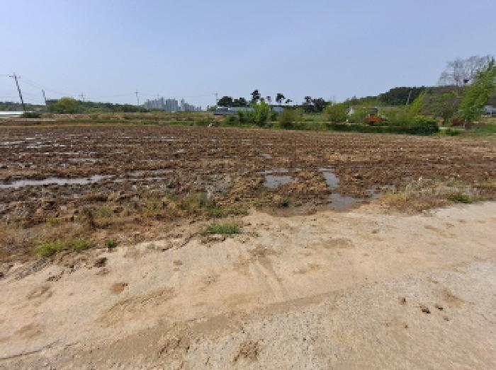 서산지원 2025타경612-1 사진