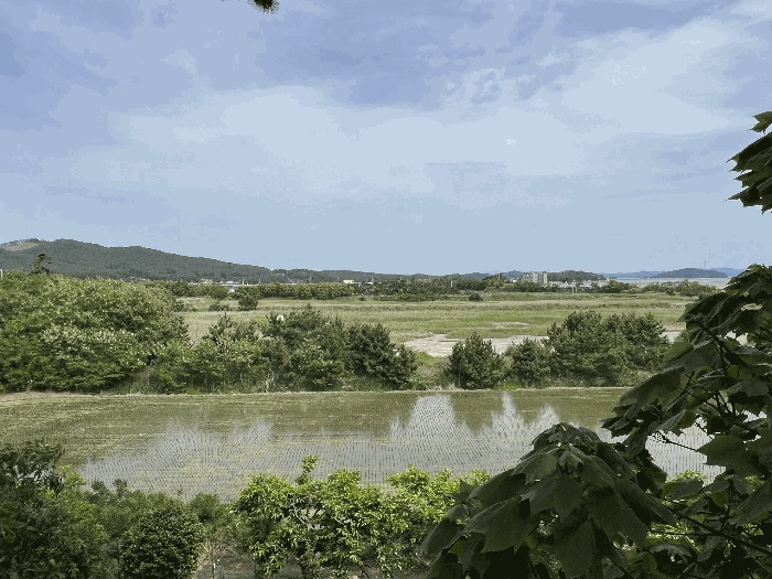 서산지원 2025타경665-1 사진