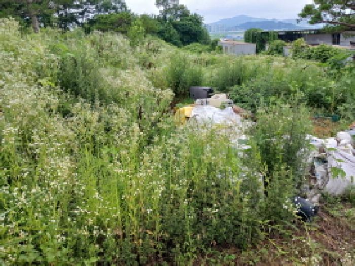 서산지원 2025타경686-1 사진