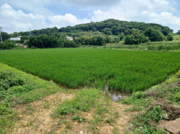 서산지원 2025타경704-1 사진