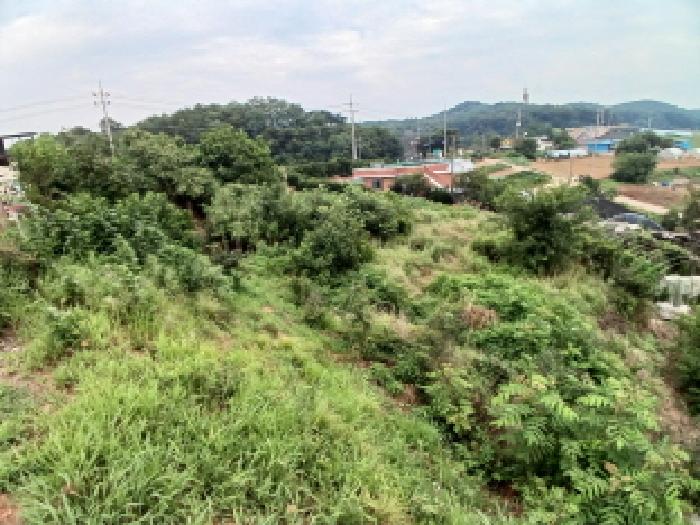 서산지원 2025타경711-1 사진