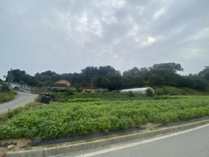 서산지원 2025타경854-1 사진