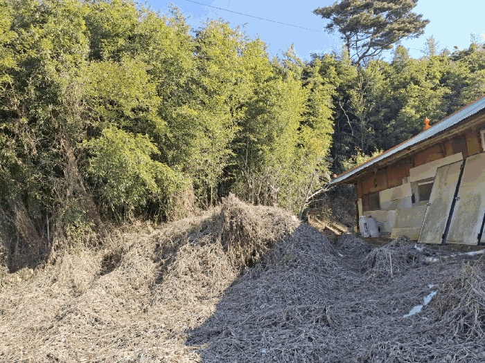 서산지원 2025타경50365-1 사진