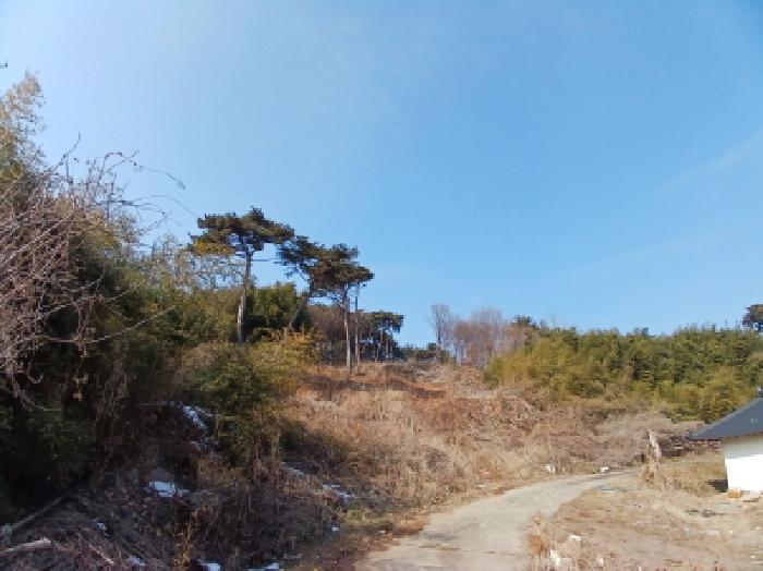 서산지원 2025타경50648-1 사진