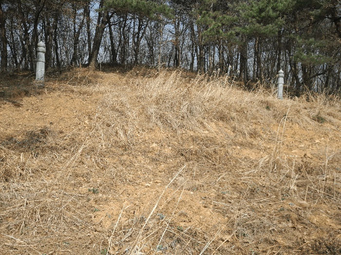 서산지원 2025타경51114-1 사진