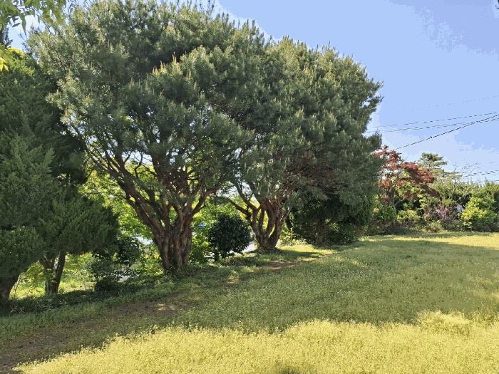 서산지원 2025타경51270-1 사진