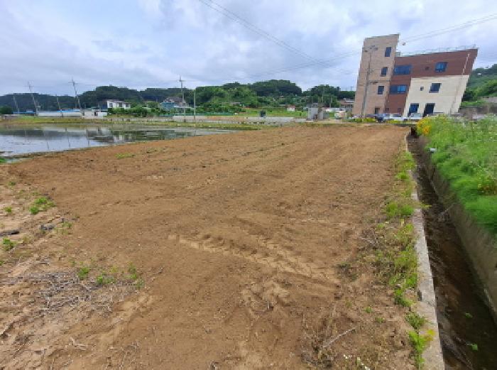 서산지원 2025타경51374-1 사진