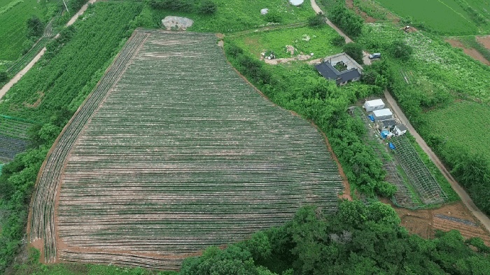 서산지원 2025타경51422-1 사진